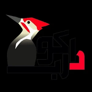 آموزشگاه دارکوب بهترین آموزشگاه کامپیوتر در تهران